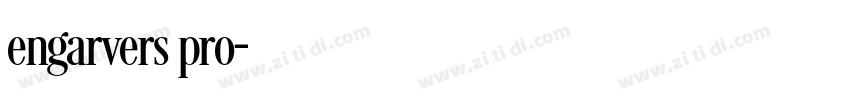 engarvers pro字体转换